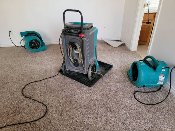 Best Water damage restoration near me  in Arlington, TX