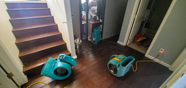 Best Local water damage restoration  in Arlington, TX