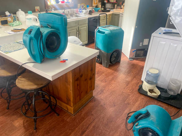 Best Water damage contractors near me  in Arlington, TX