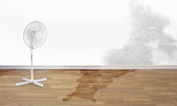 Best Emergency water damage restoration  in Arlington, TX