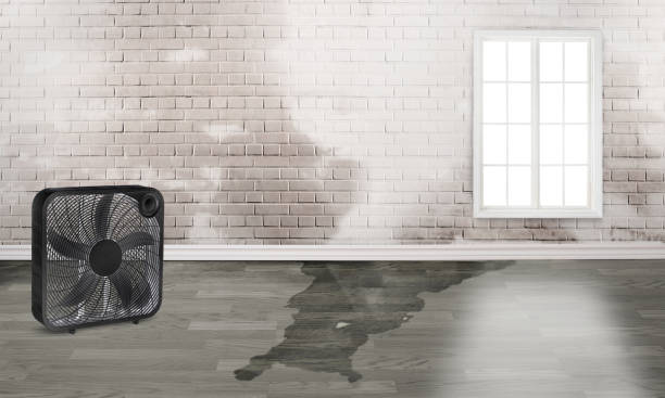 Best Water damage restoration company  in Arlington, TX