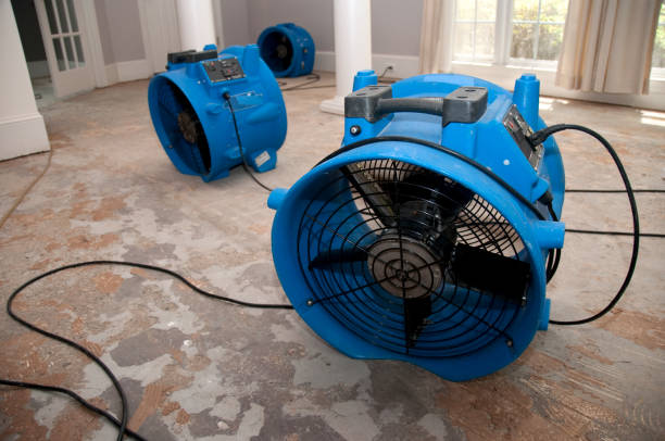 Best Basement water damage restoration  in Arlington, TX