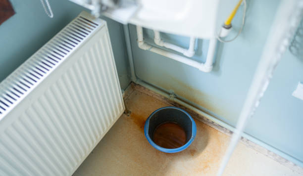 Best Water damage cleanup near me  in Arlington, TX