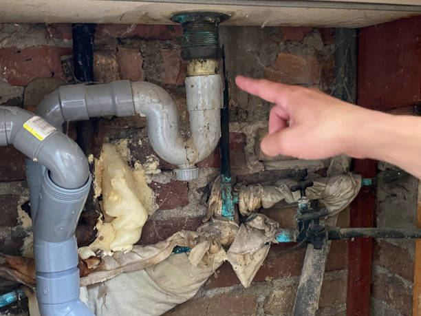 Best Water damage cleanup near me  in Arlington, TX