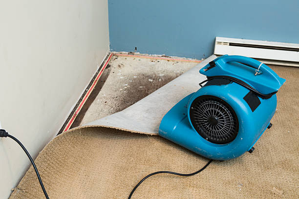 Trusted Arlington, TX Water damage restoration Experts